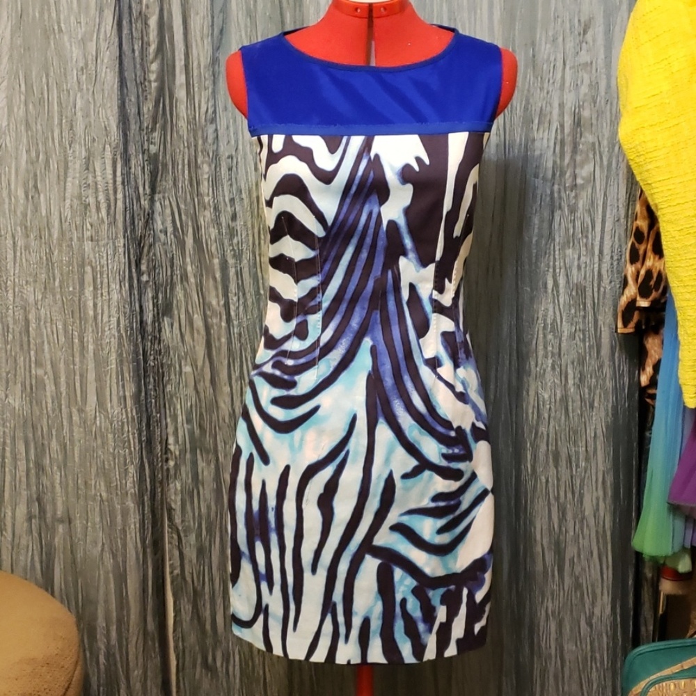 Blue animal stripe print dress